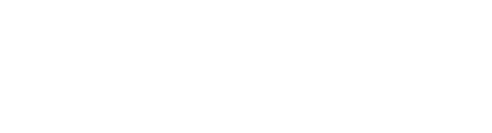 CD-SERVIZI LOGO
